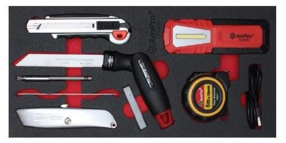 19Pc Recharge Work Light & Multi-Tool Set (Foam Tray) AMPRO T23356