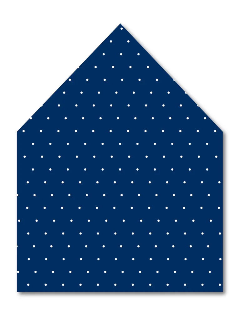 Blue Dot Envelope Liner