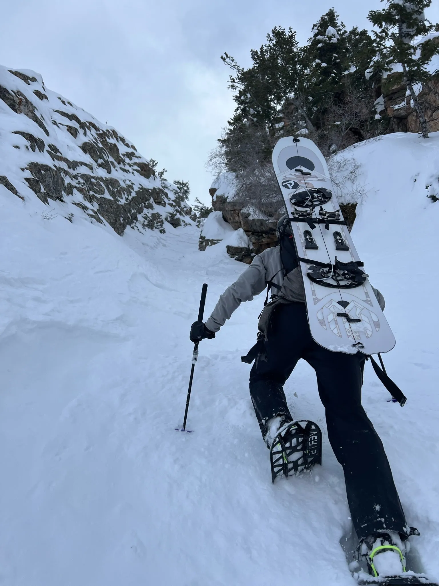 Bonsai Pro Carbon Splitboard