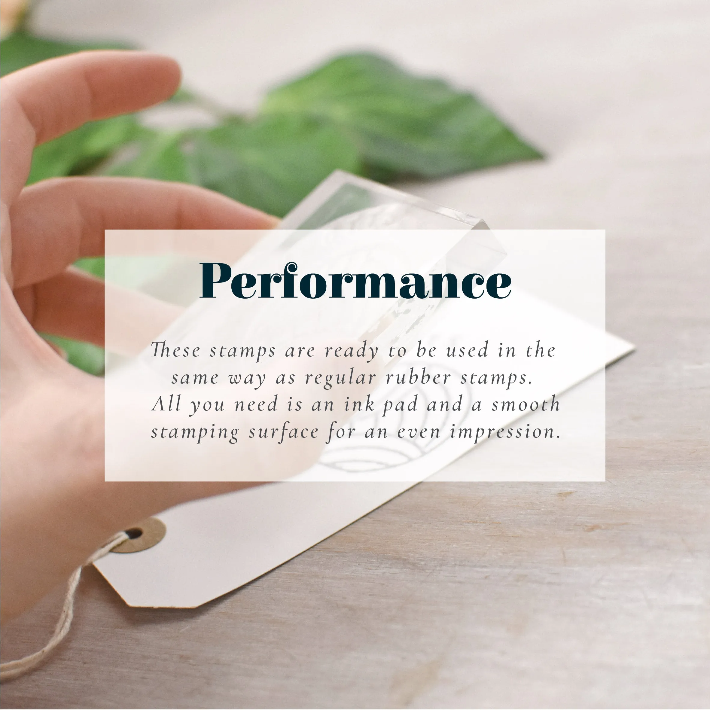 Botanical Envelope Address Lines Stamp