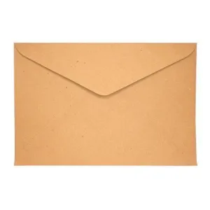 Brown Envelope Long