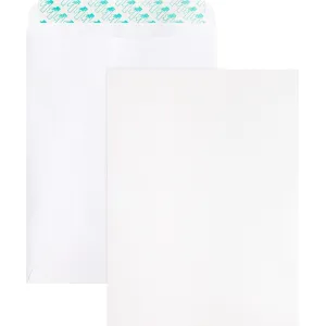 Business Source Self Sealing Catalog Envelope