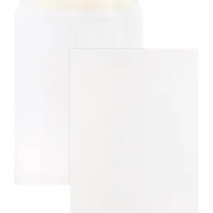 Business Source Self Sealing Catalog Envelopes