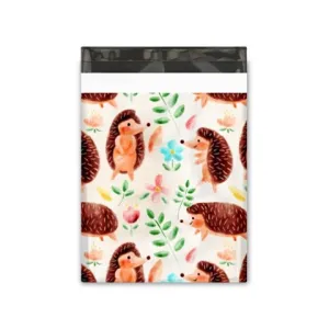 Curious hedgehogs 10x13 Premium Poly Mailer - set of 10