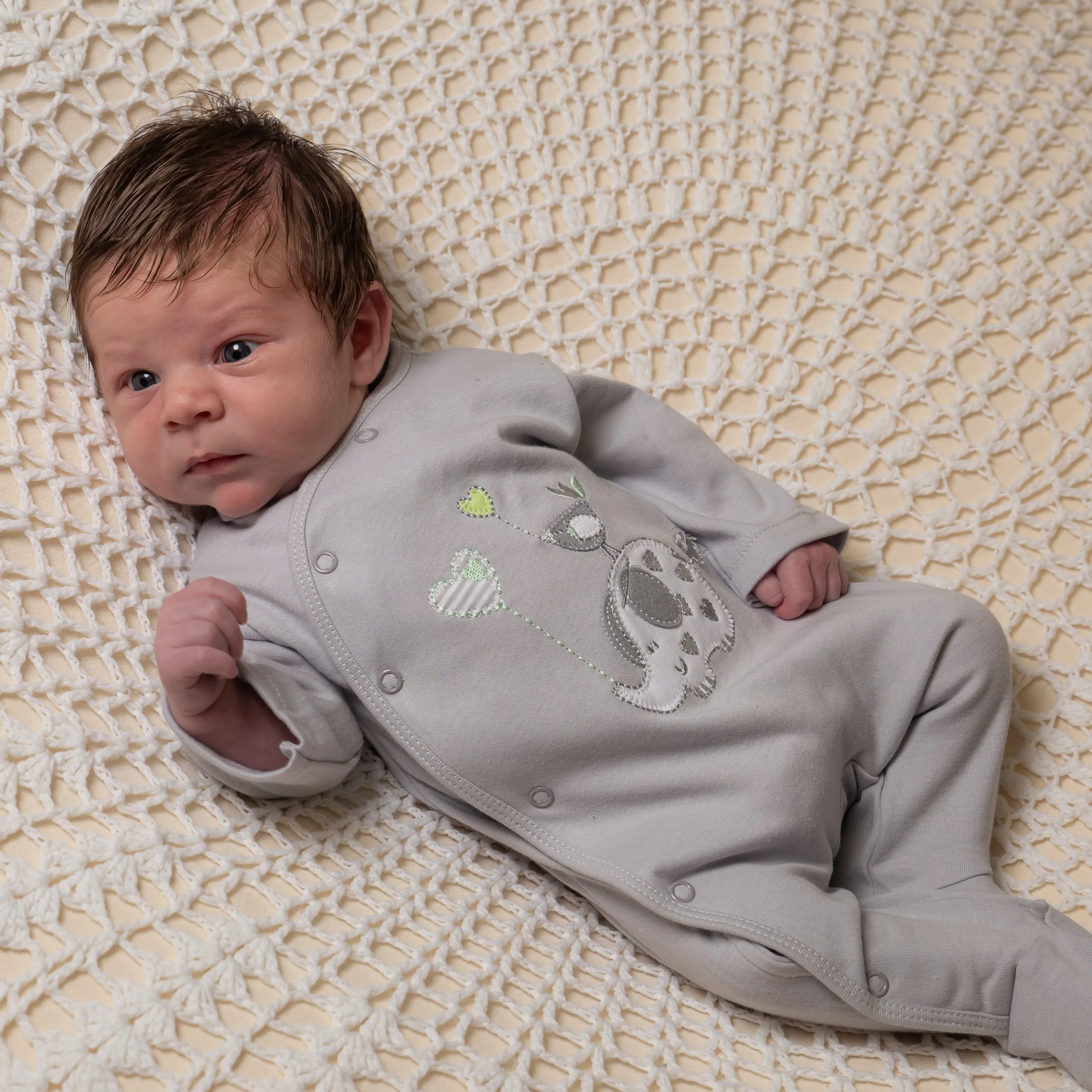 'Elephant & Bird' Grey Unisex Cotton Sleepsuit