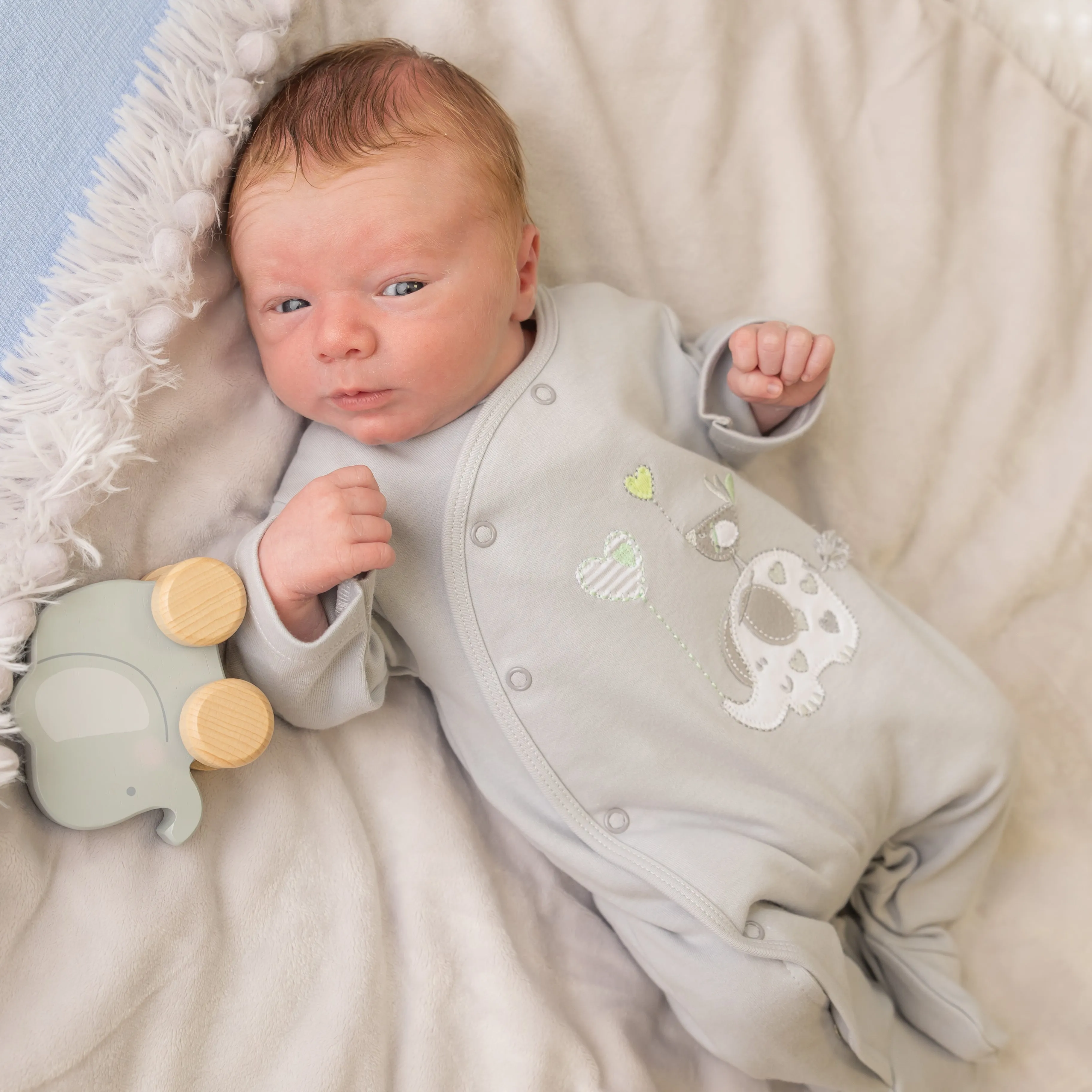 'Elephant & Bird' Grey Unisex Cotton Sleepsuit