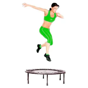 Half-Fold Rebounder