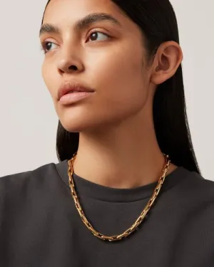 JENNY BIRD | Alber Cain Necklace | Gold