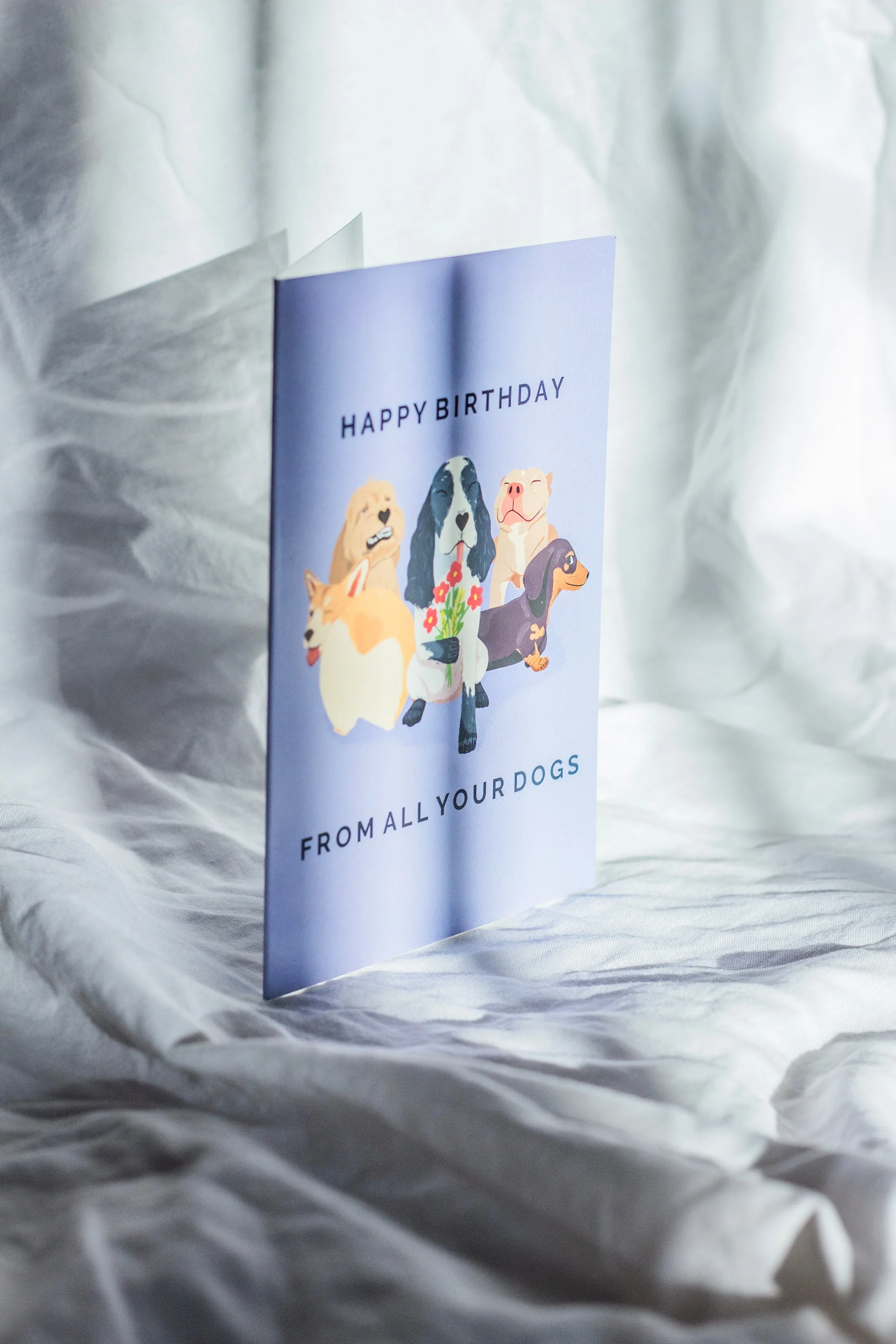 Juu Illustration Dog Birthday Card with Envelope