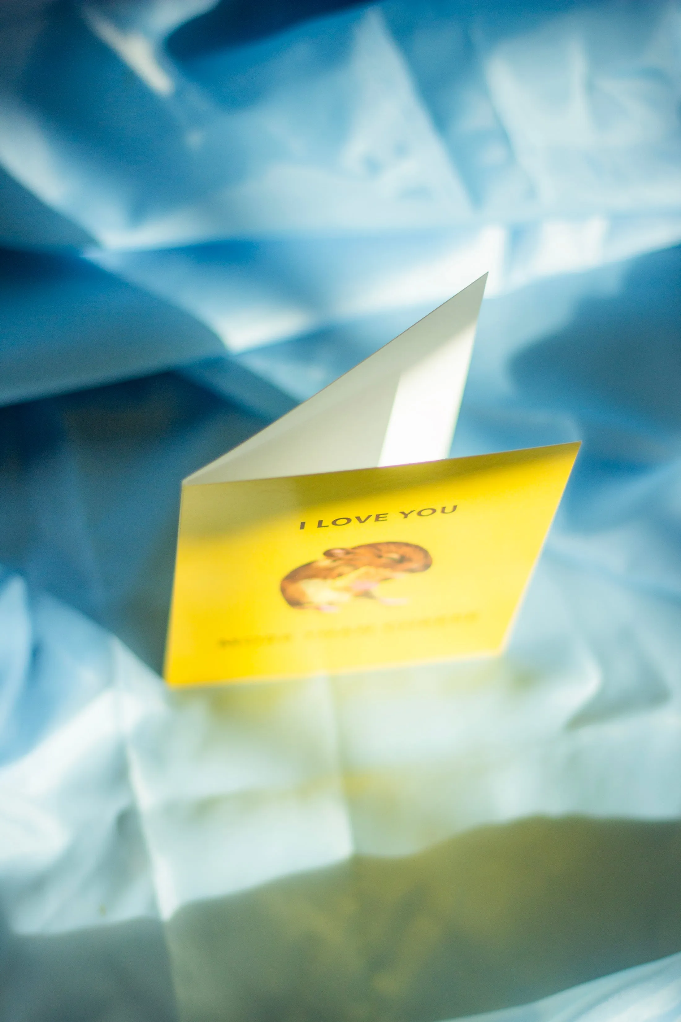 Juu Illustration Mouse and Cheese Card with Envelope