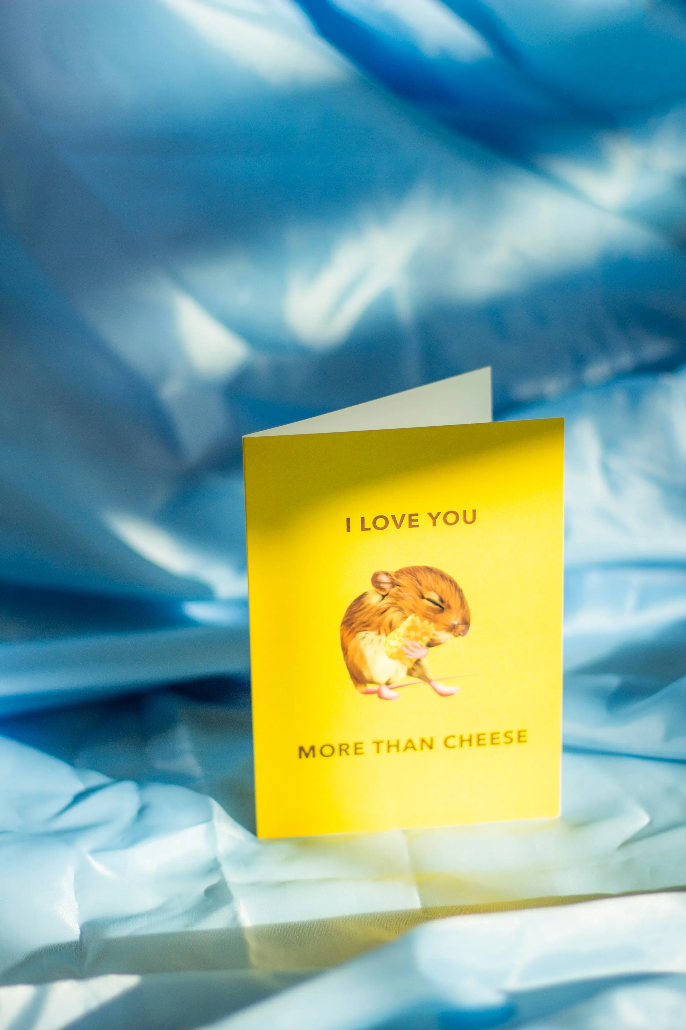 Juu Illustration Mouse and Cheese Card with Envelope