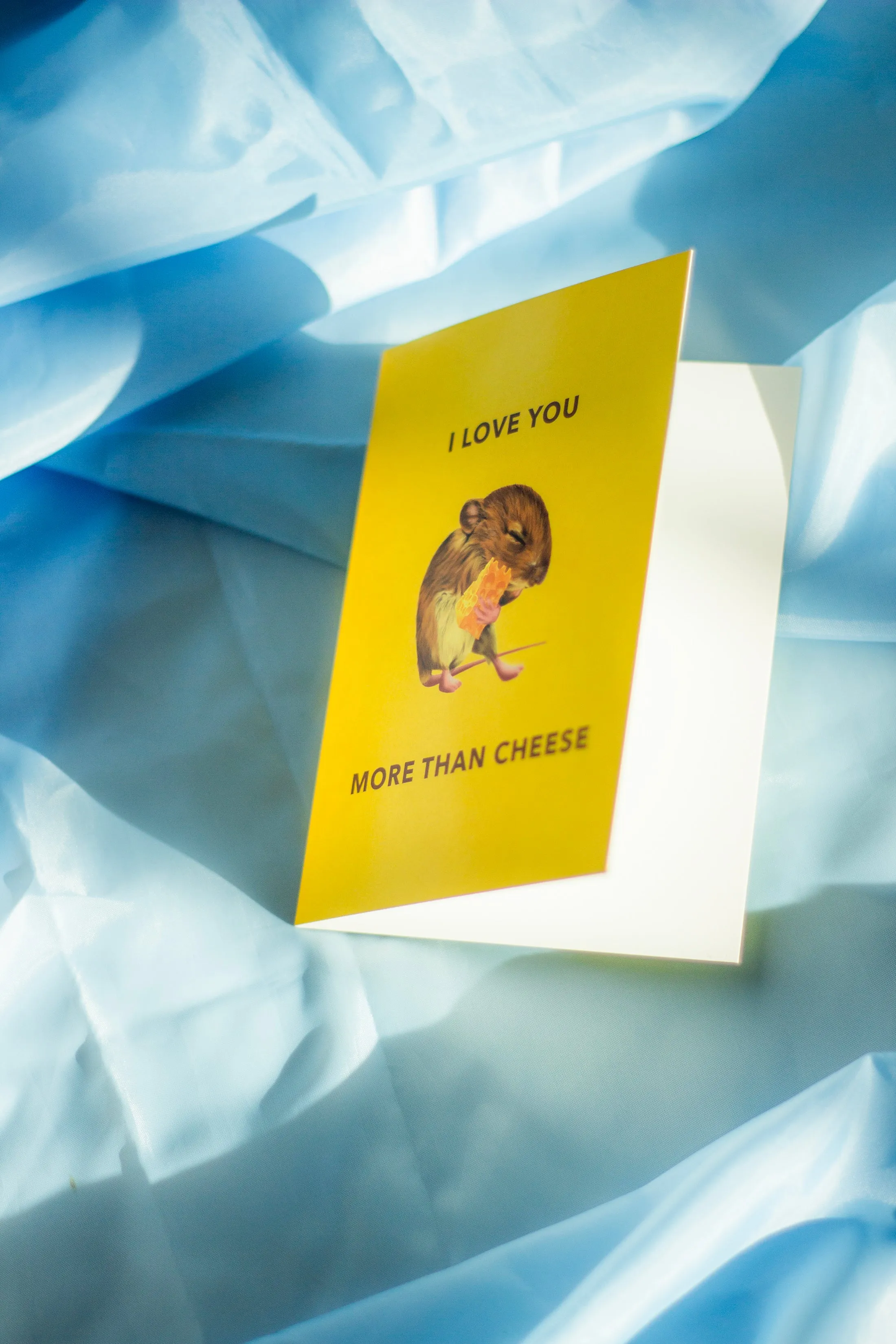 Juu Illustration Mouse and Cheese Card with Envelope
