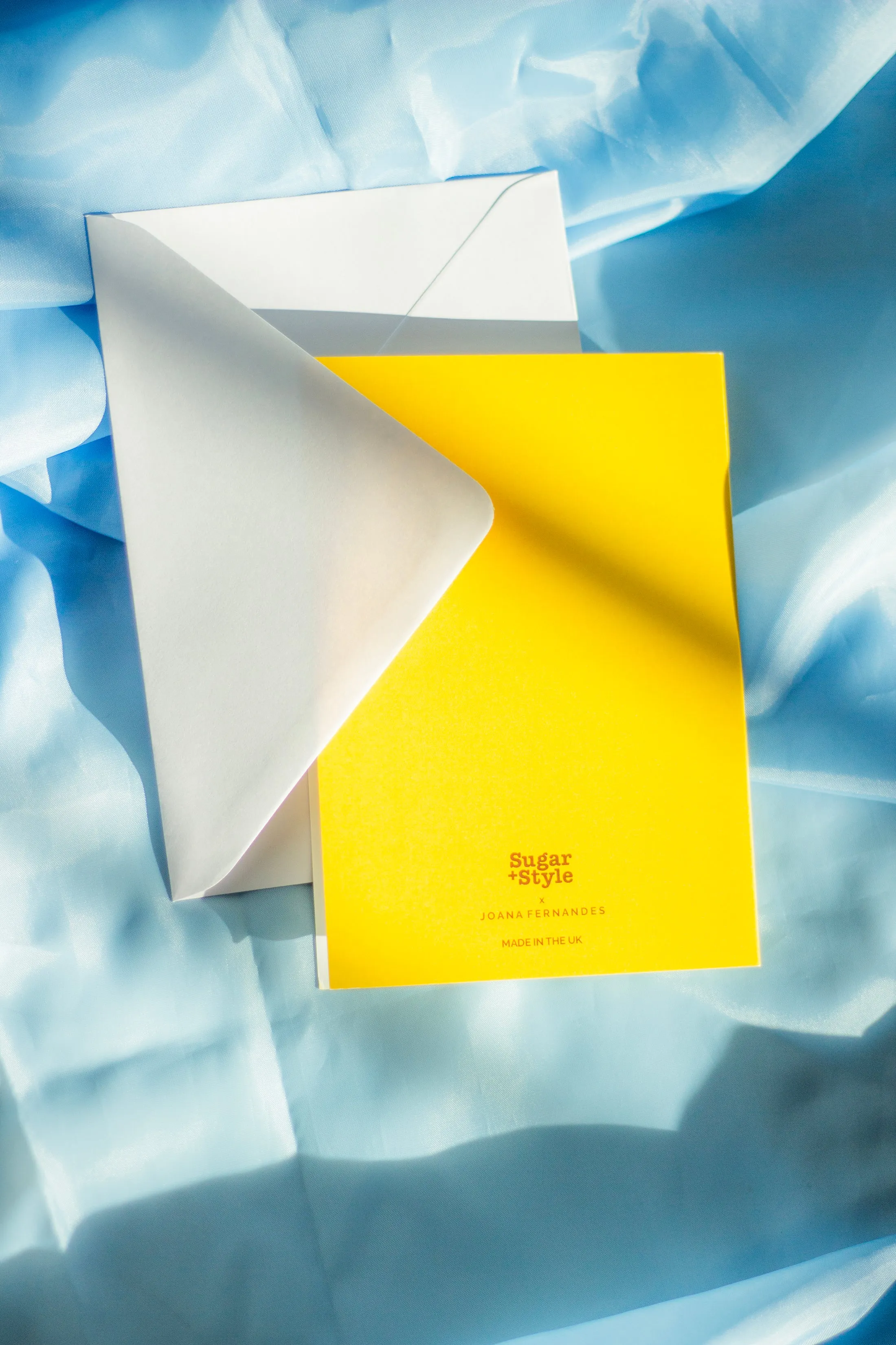 Juu Illustration Mouse and Cheese Card with Envelope