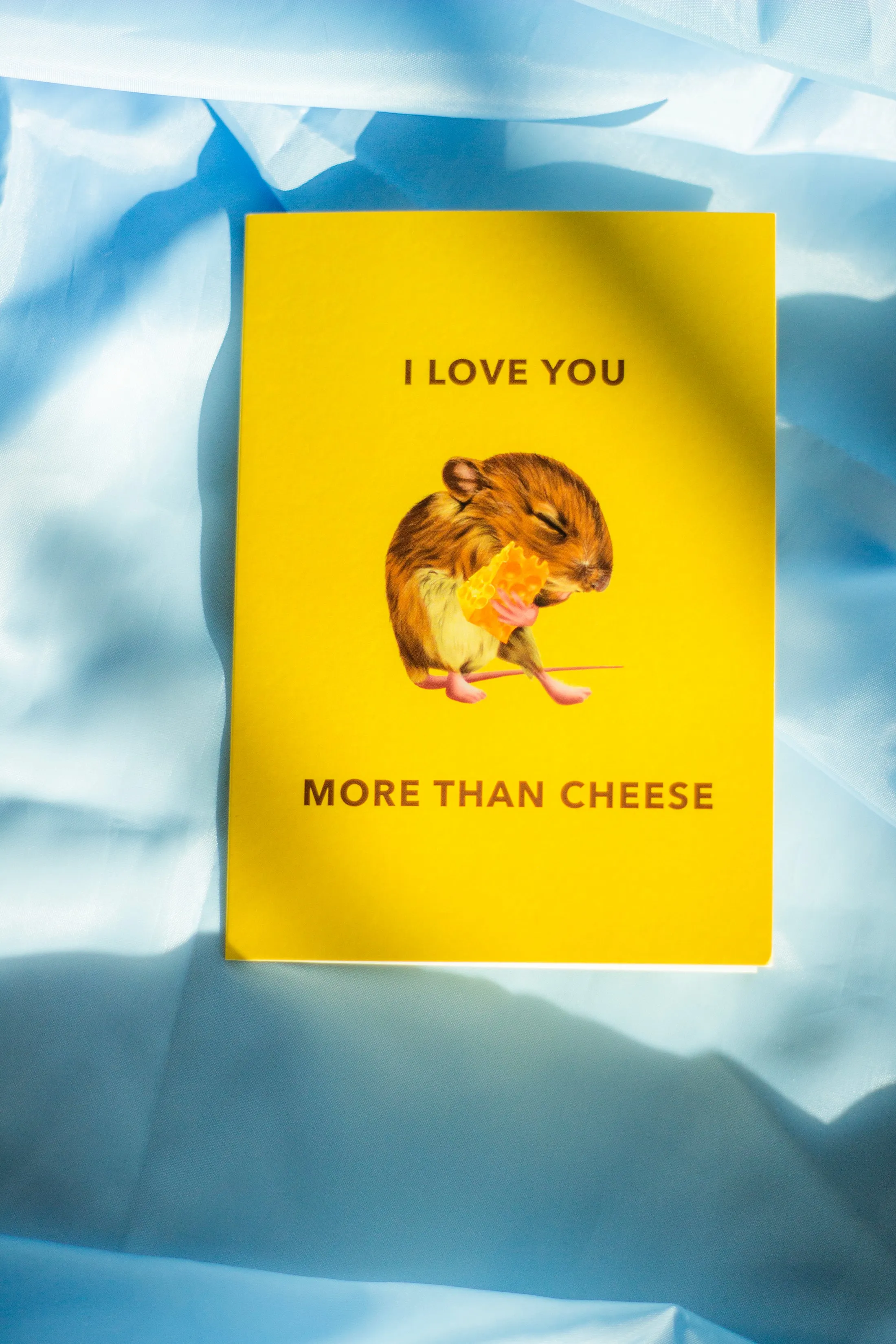 Juu Illustration Mouse and Cheese Card with Envelope