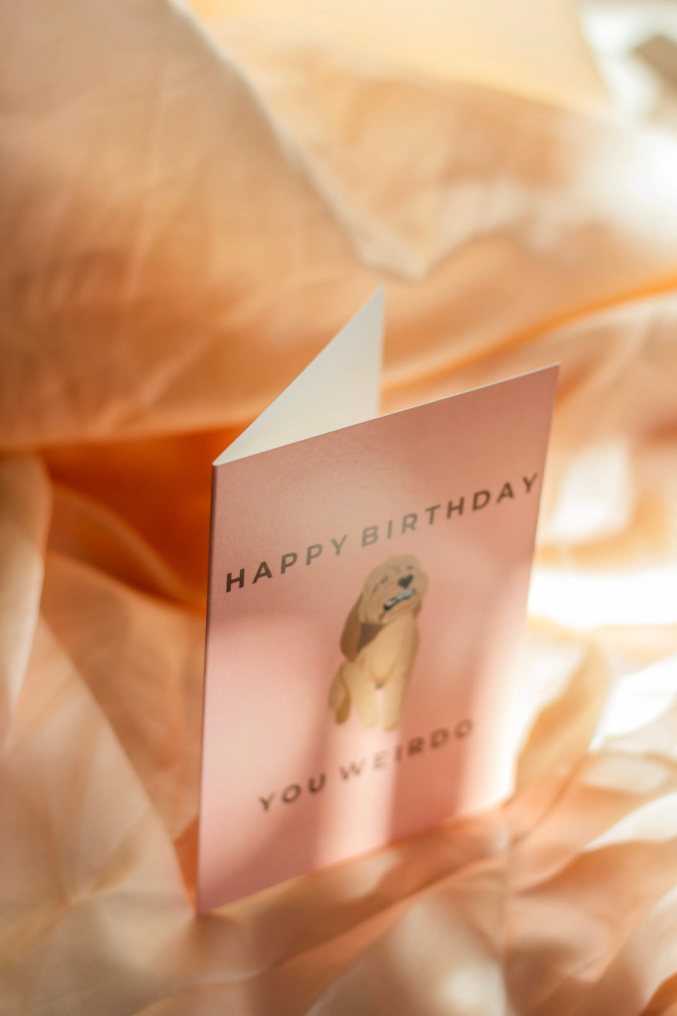 Juu Illustration Terrier Dog Birthday  Card with Envelope