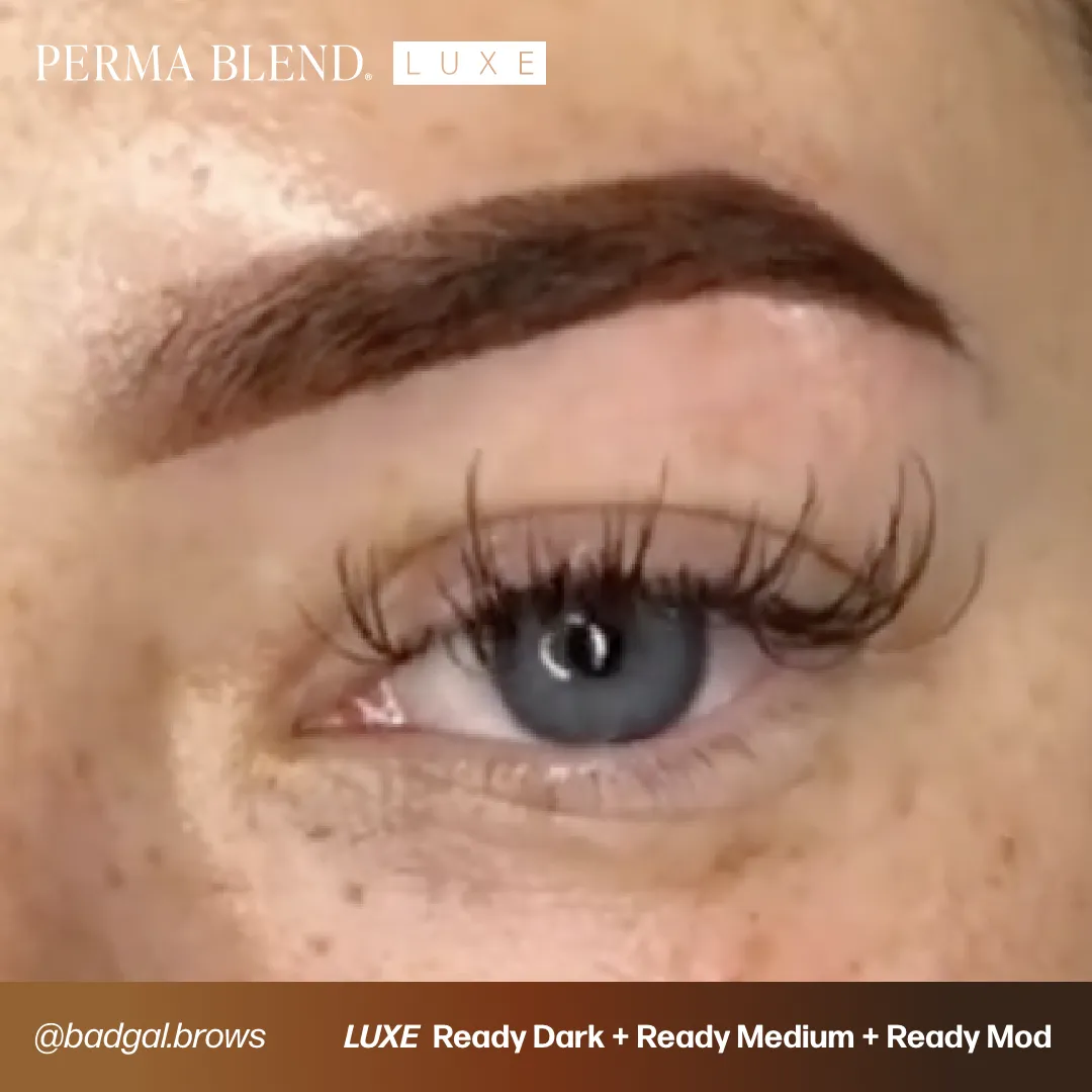LUXE - Ready Dark