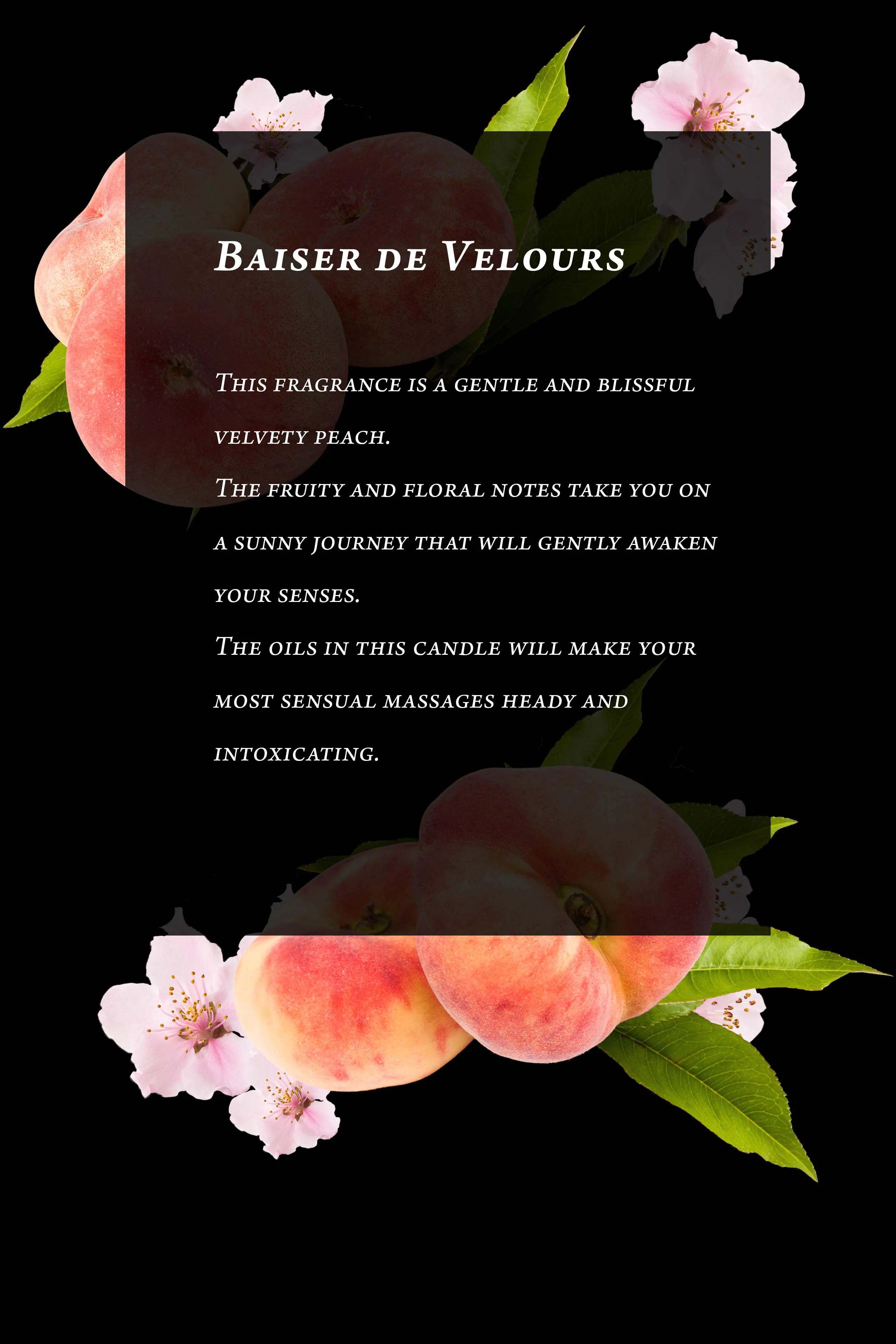 Massage Candle - Vineyard peach - Baiser de Velours