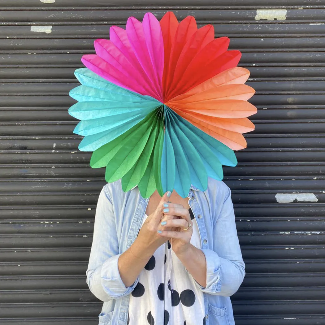 Multi Coloured Fan Decoration