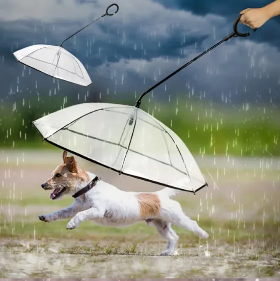 Pet Umbrella & Leash