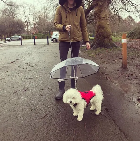 Pet Umbrella & Leash