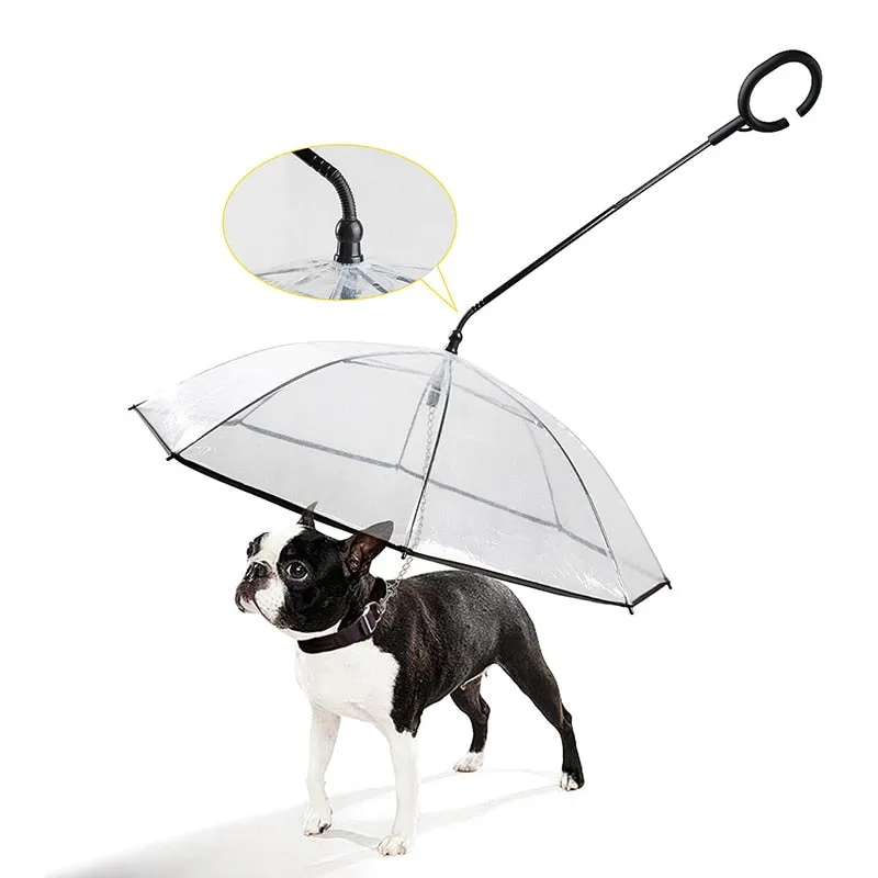Pet Umbrella & Leash