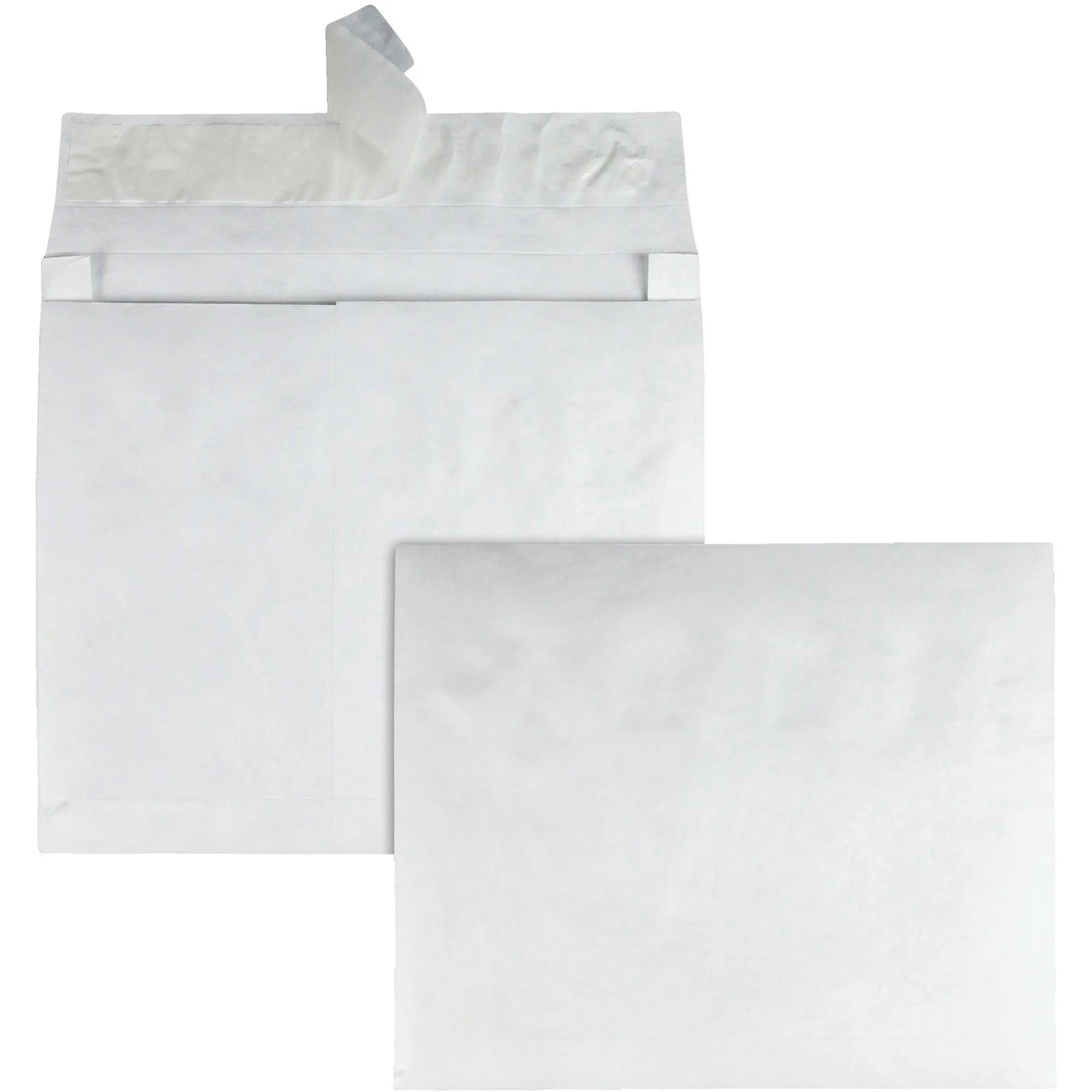 Quality Park Tyvek Heavyweight Expansion Envelopes