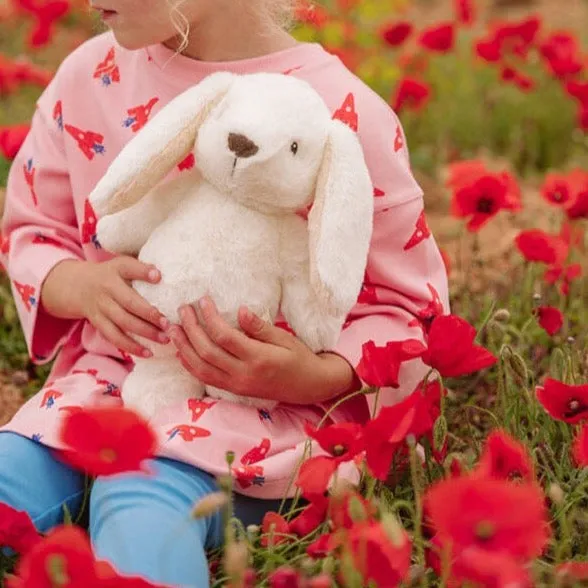 Robbert the Rabbit Soft Toy