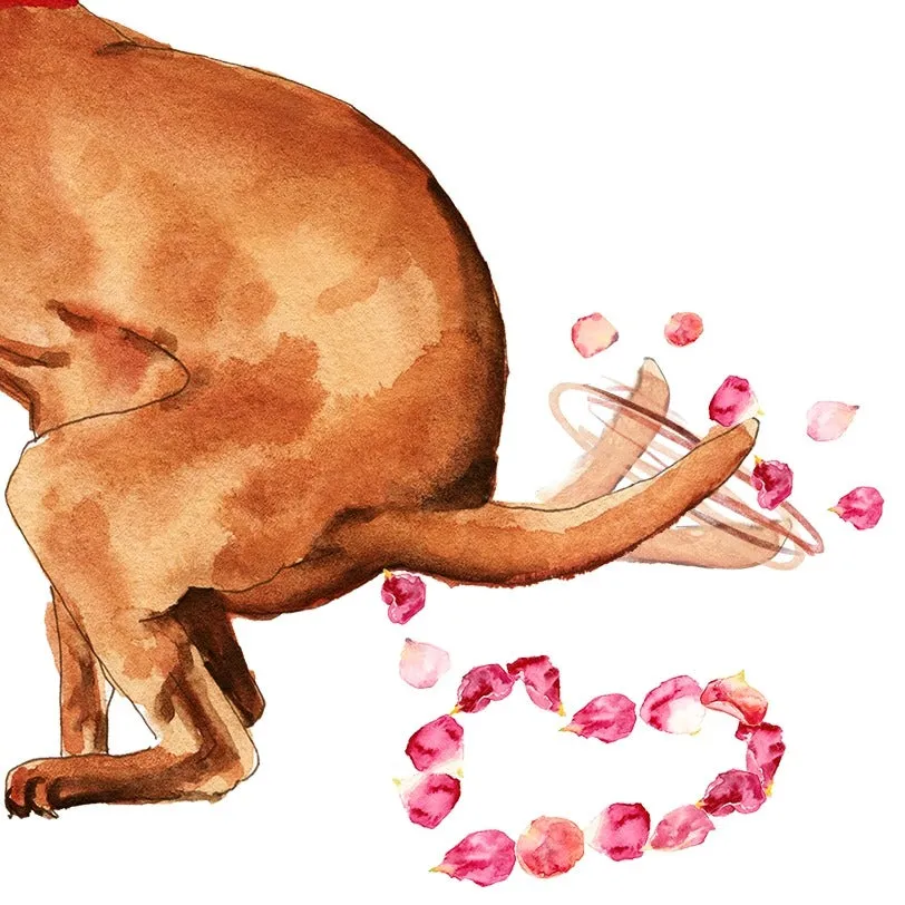 SP - Dog Valentine's Day Card