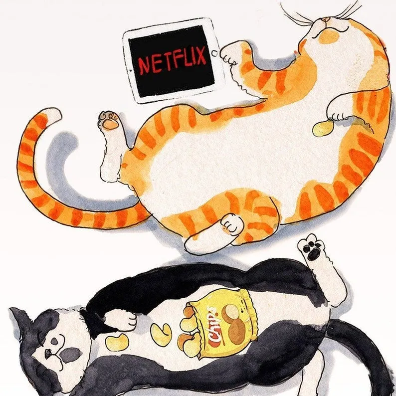 SP | Netflix & Chill Cats Card