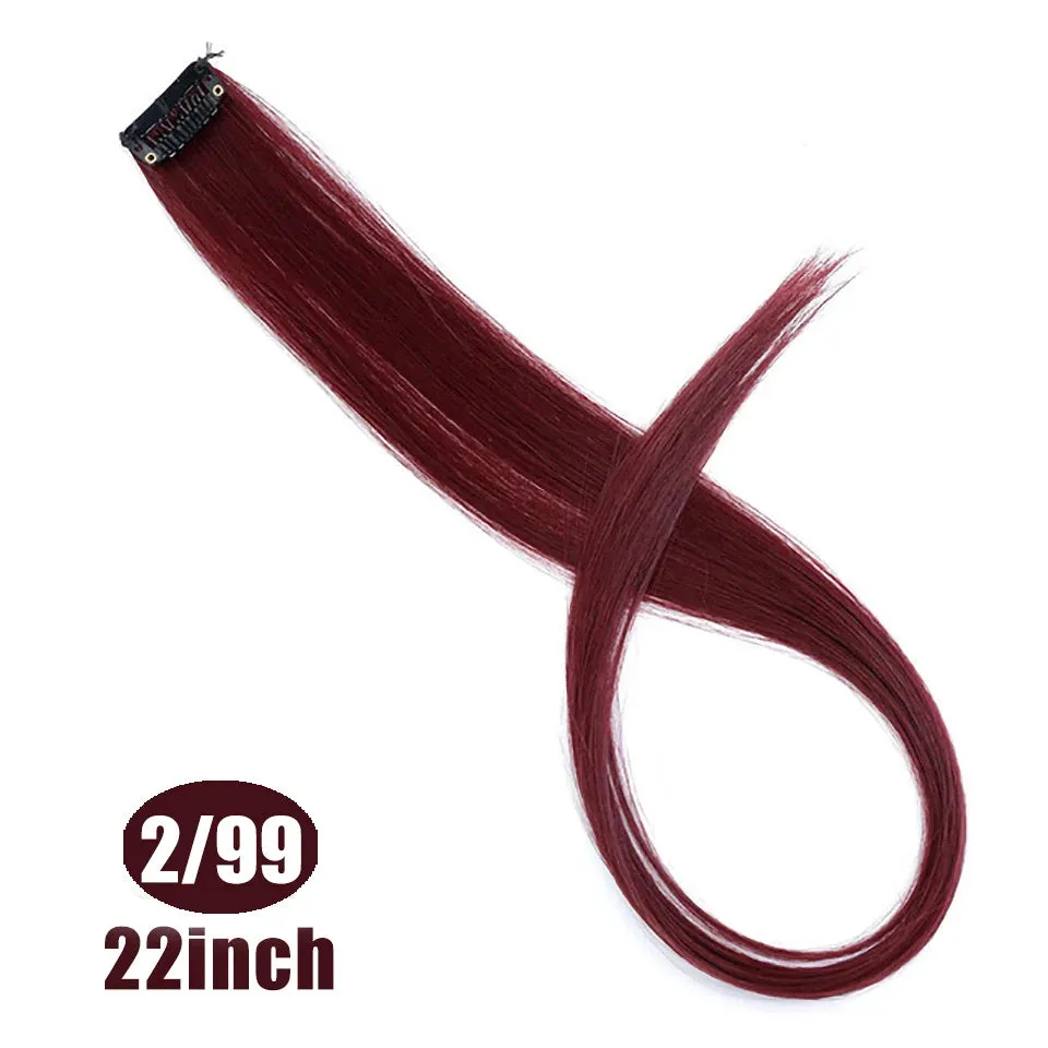 Straight Fake Colored Hair Extensions Clip Rainbow Hair Streak Synthetic Hair Strands on Clips