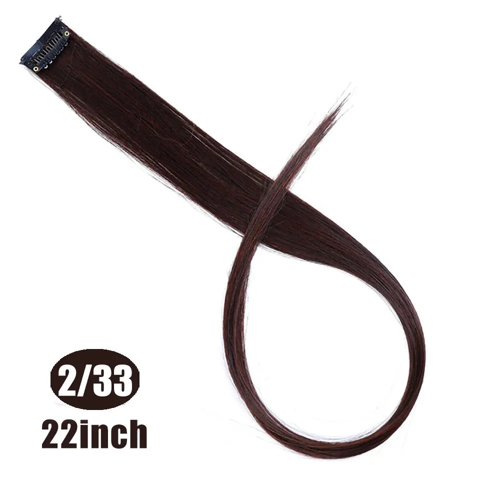 Straight Fake Colored Hair Extensions Clip Rainbow Hair Streak Synthetic Hair Strands on Clips