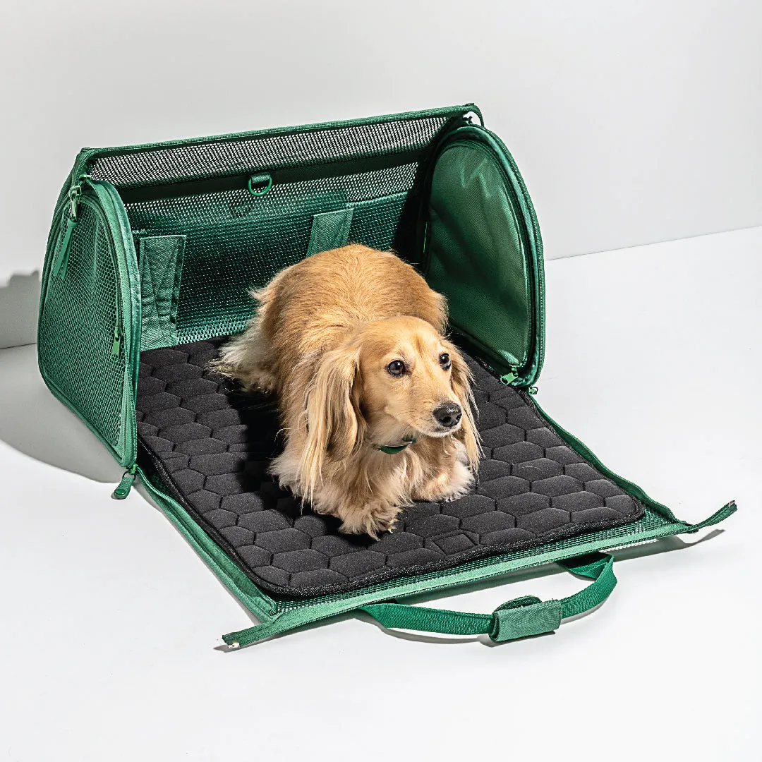 Travel Carrier in Spruce