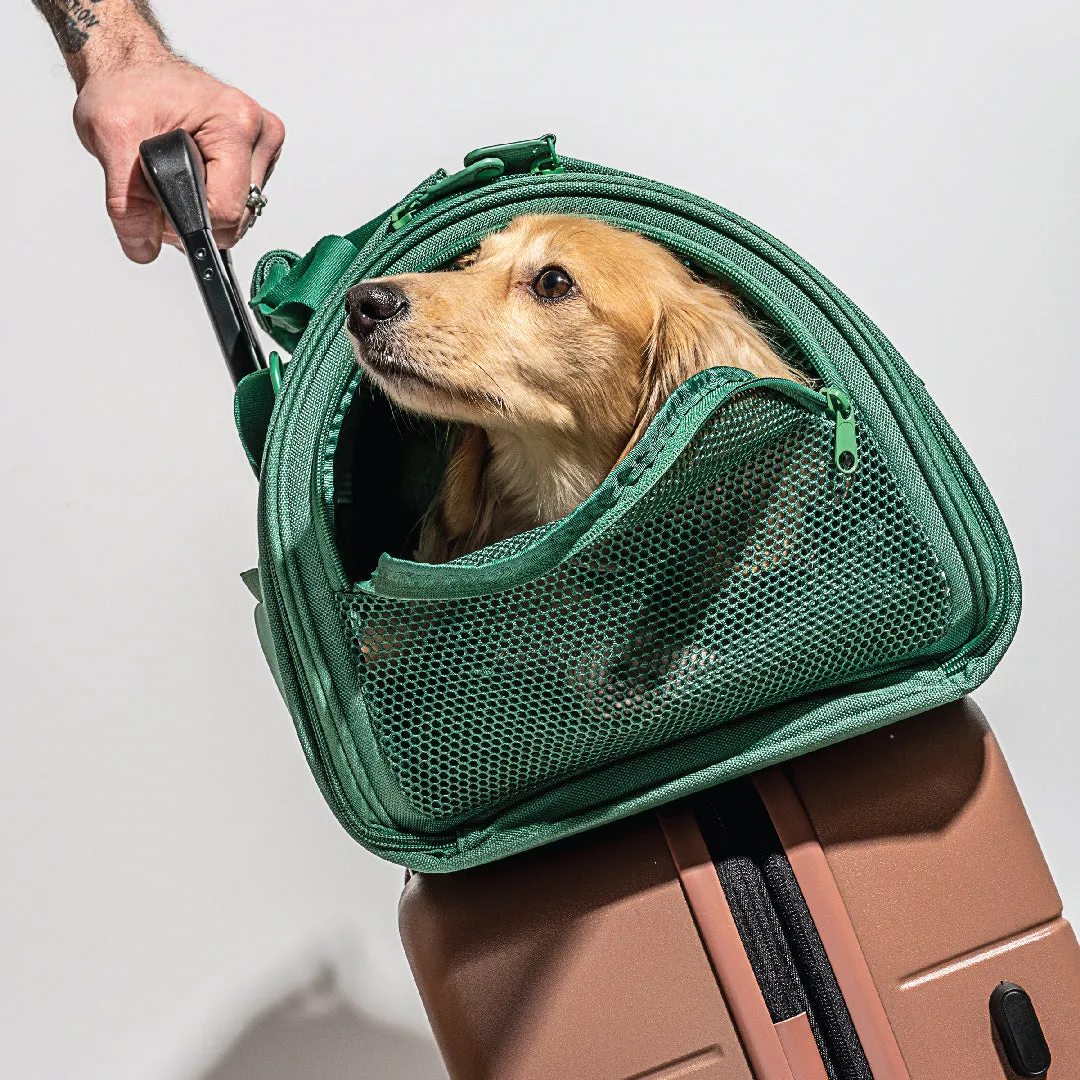 Travel Carrier in Spruce
