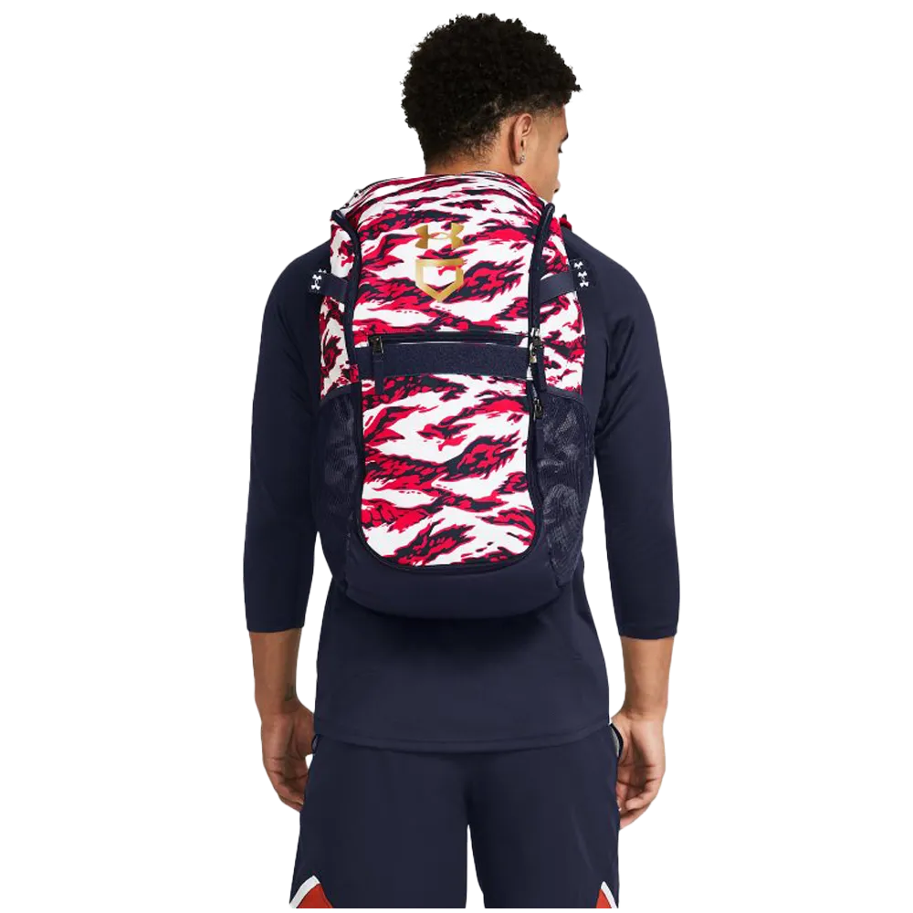 UA Utility Baseball BP Print