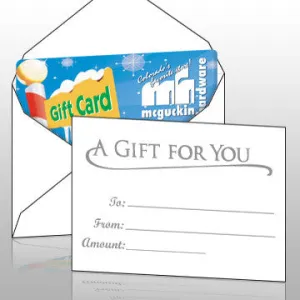 White Gift Card Envelopes